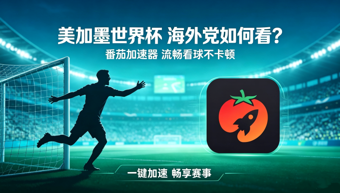 在韩国看世界杯中文解说仅限中国大陆教程