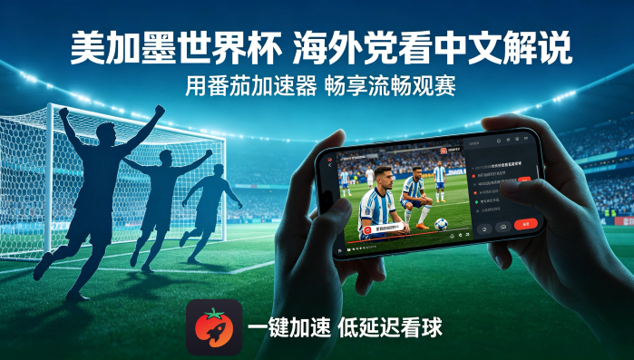 在加拿大看抖音世界杯中文直播当前IP受限制教程