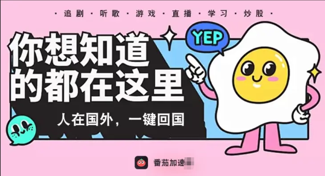 加速器和VPN有什么区别？教程